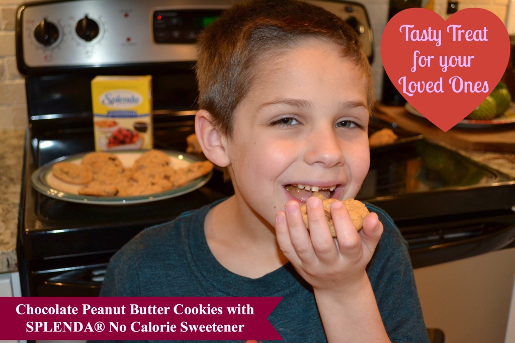 Chocolate Peanut Butter Cookies with SPLENDA® No Calorie Sweetener