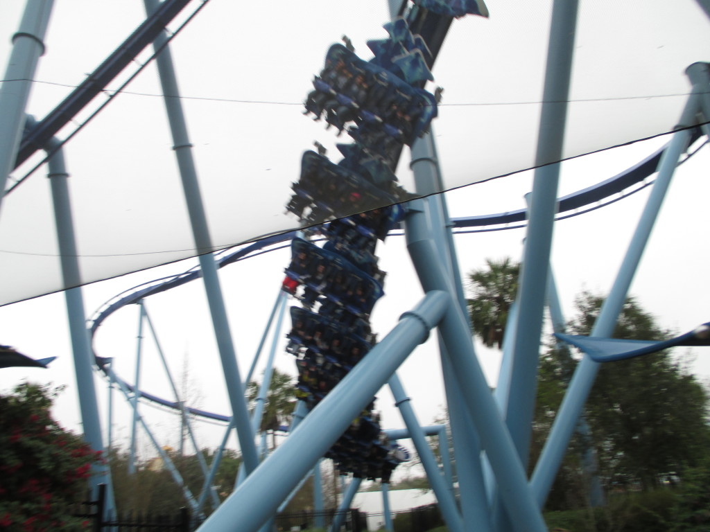 Manta at Sea World