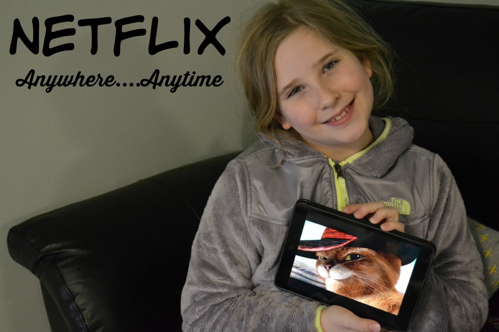 Netflix Anywhere