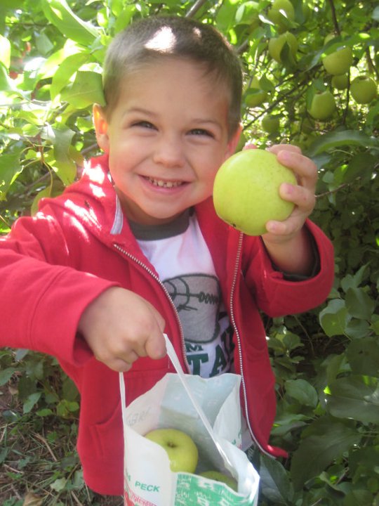 Narrow Lane Orchard RI