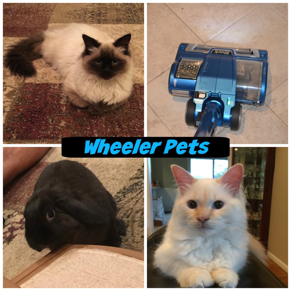 Wheeler_Pets_Shark_Powerhead