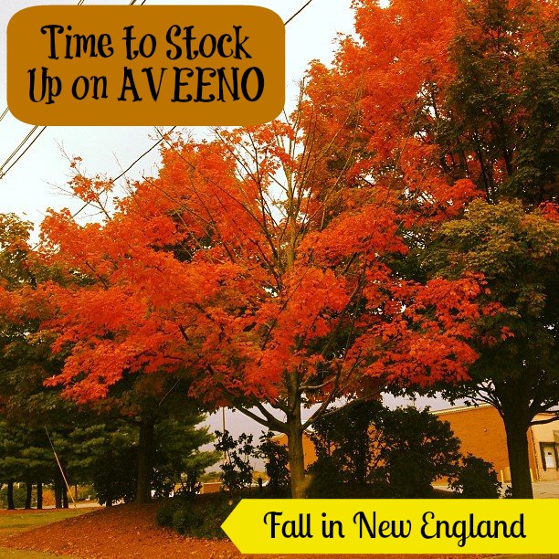 Fall in New England Mean Stocking Up on AVEENO