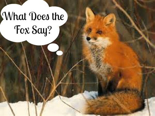 What Does the Fox Say? Could this be Educational? via Mama Luvs Books