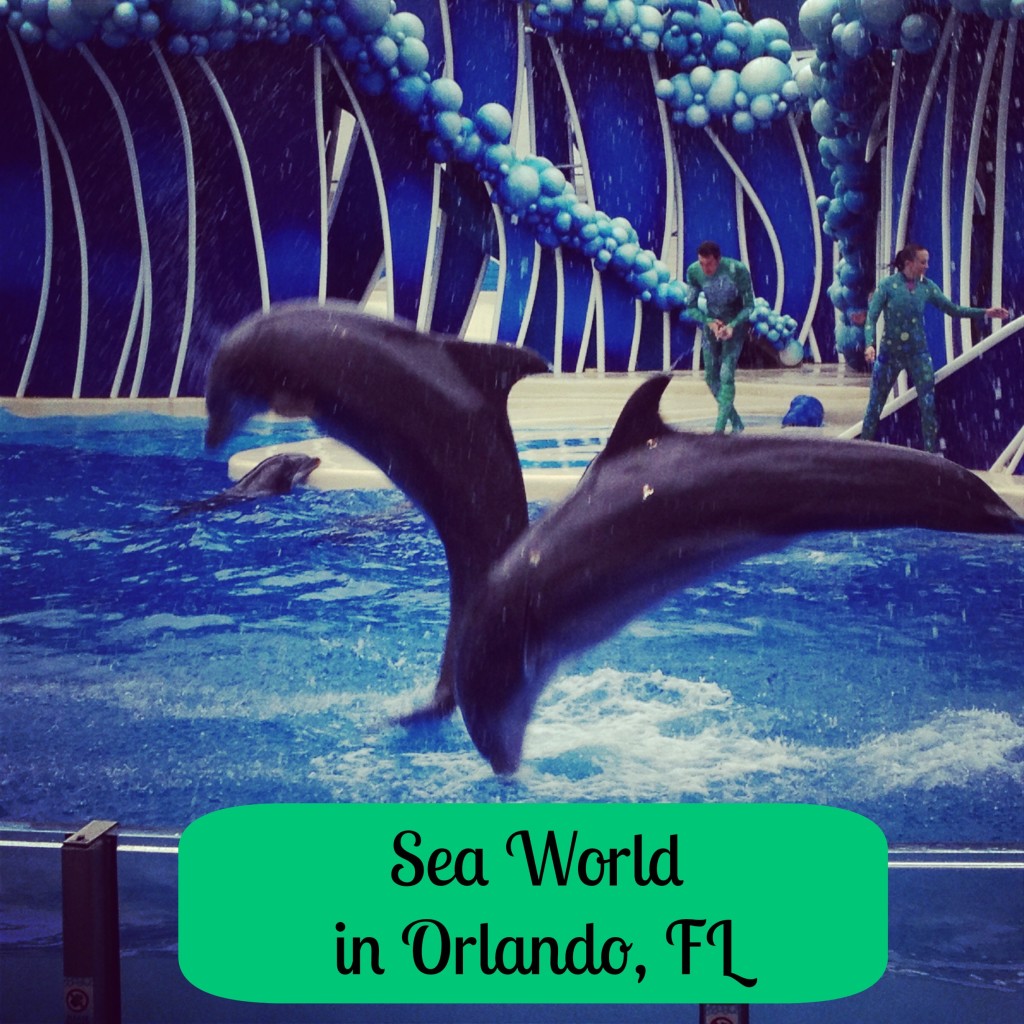 Sea-World-Orlando-Florida
