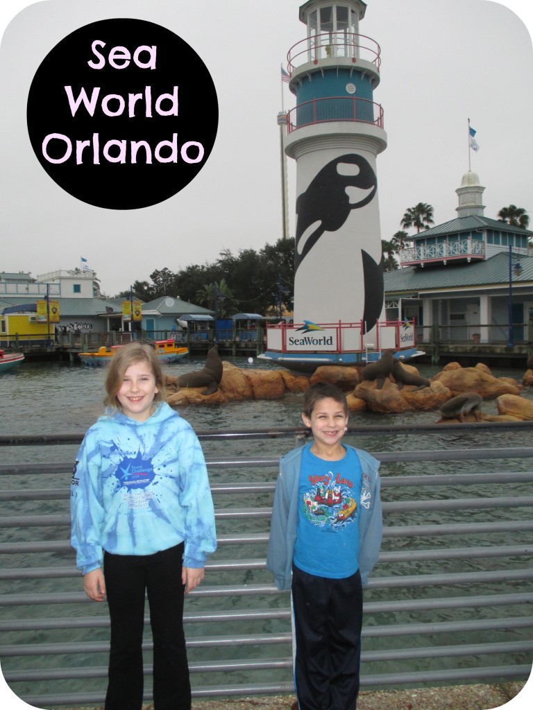 Sea-World-Orlando